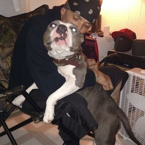 Meet your Posher, Williams